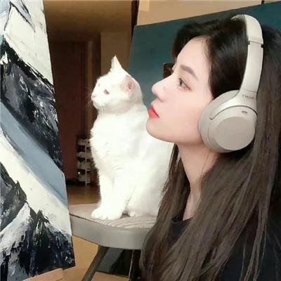 大上海的过客